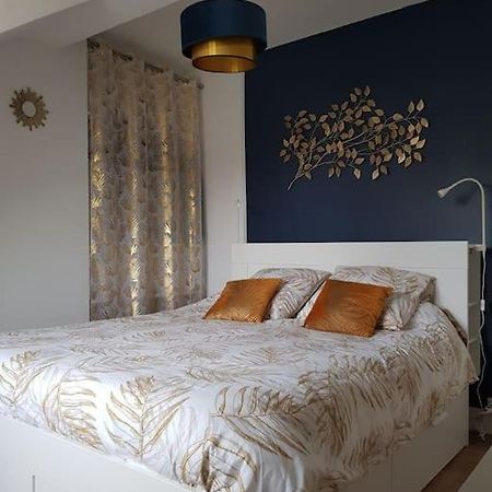 Appartement Lumineux Et Moderne Ле-Ман Экстерьер фото